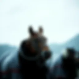 1060 로또 당첨 번호 연구 및 분석 Introduction