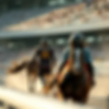 Magnificent 경마예상지 순위와 분석: 나의 베팅 전략을 강화하는 방법 Magnificent 경마예상지 순위와 분석: 나의 베팅 전략을 강화하는 방법