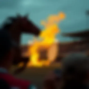 Magnificent 회차 뜻과 그 중요성 Magnificent 회차 뜻과 그 중요성