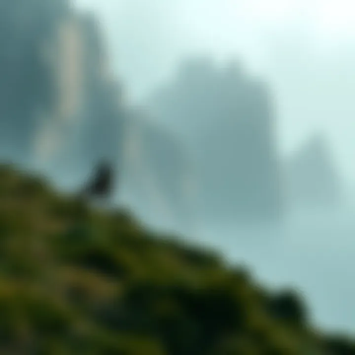 Magnificent 토토 뜻: 경계선을 넘어선 게임의 이해