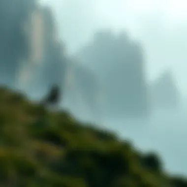 Magnificent 토토 뜻: 경계선을 넘어선 게임의 이해 Magnificent 토토 뜻: 경계선을 넘어선 게임의 이해