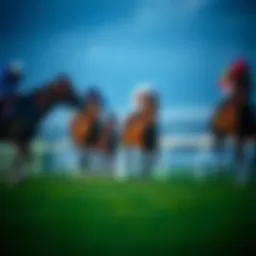 A thorough analysis of horse racing statistics