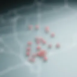 Map showcasing lottery winning locations in South Korea