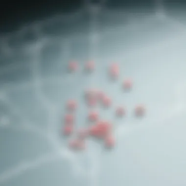 Map showcasing lottery winning locations in South Korea