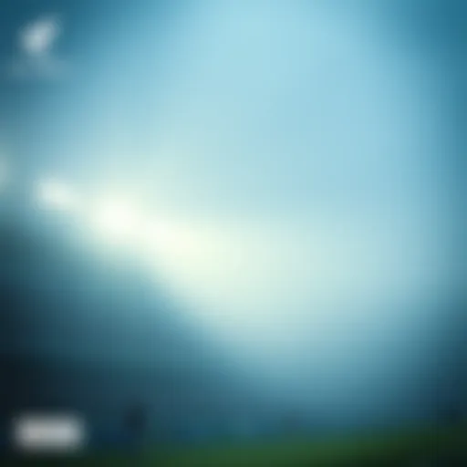 내 mmr: 복권과 스포츠 베팅의 성과 평가 Introduction