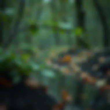 Conceptual image of sustainable wealth management